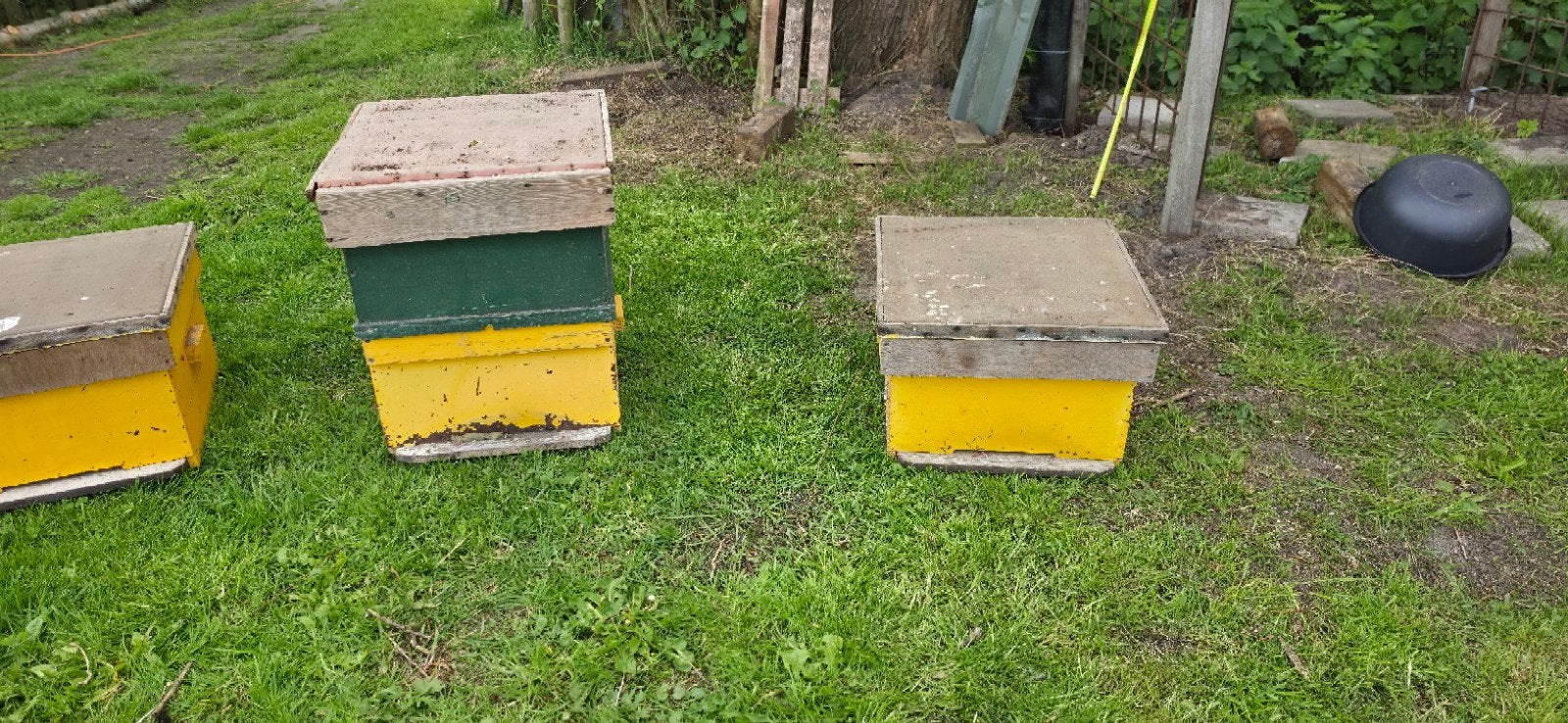 Bijenkasten, Dieren en Toebehoren, Insecten en Spinnen, Bijen