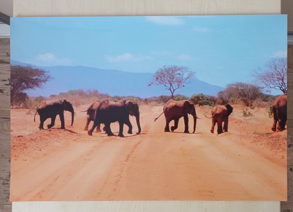 Foto uit Kenia Afrika, zelf gemaakt, Ophalen of Verzenden
