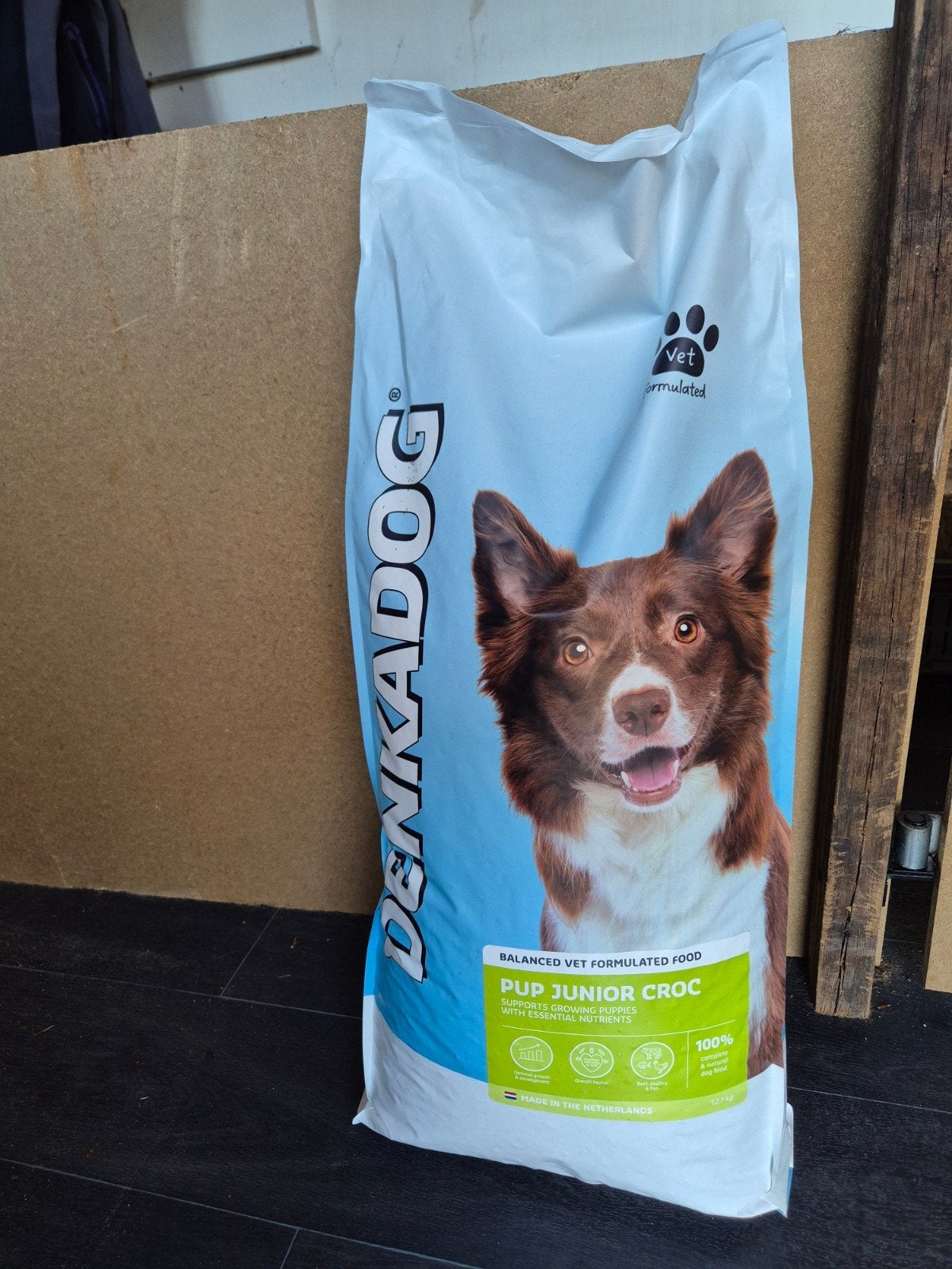 Denkadog puppy 12.5 kg, Ophalen of Verzenden, Hond