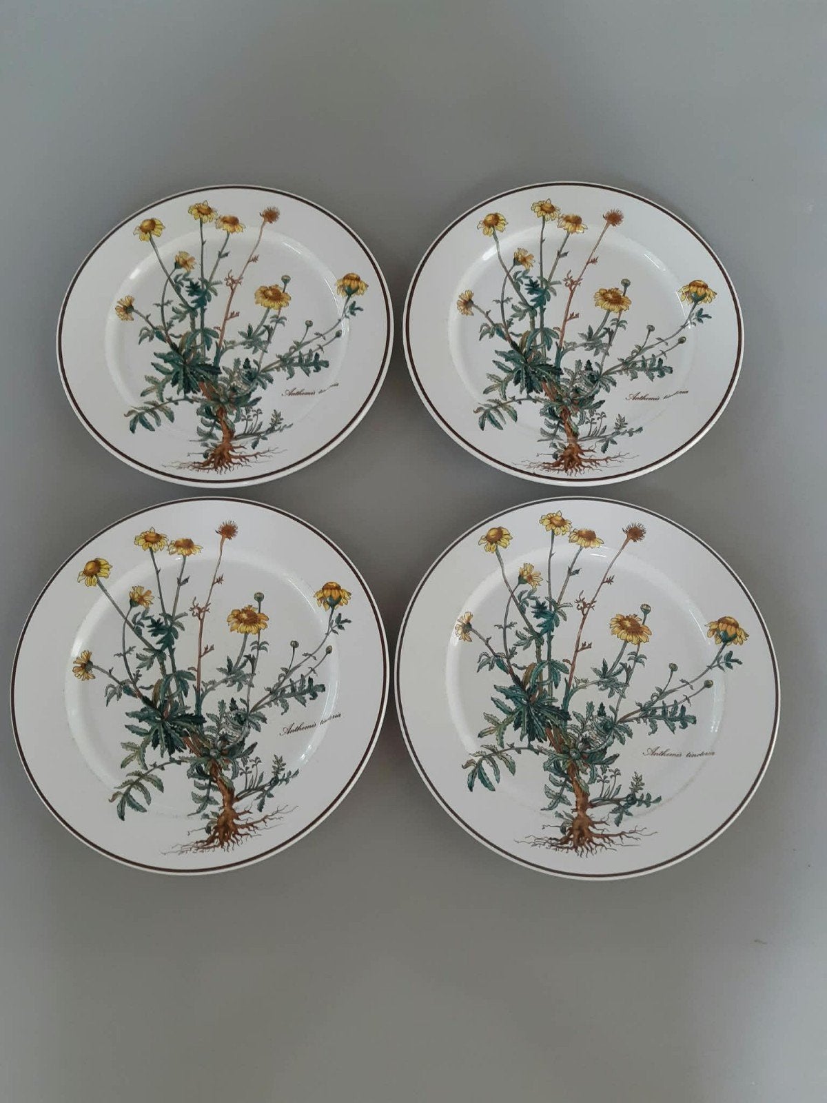 4 Dinerborden Villeroy en Boch Botanica, Huis en Inrichting, Gebruikt, Ophalen of Verzenden, Bord(en), Overige stijlen