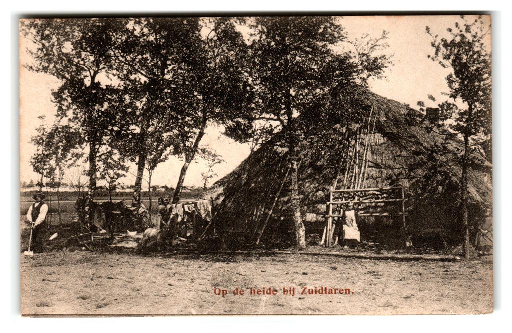 Zuidlaren, Op de heide bij Zuidlaren, Verzenden, Voor 1920, Ongelopen, Drenthe