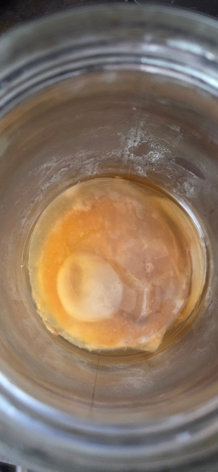 scoby, Ophalen of Verzenden
