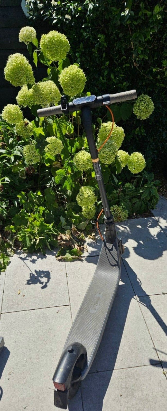 Elektrische step - SEGWAY, Ophalen of Verzenden, Elektrische step (E-scooter)