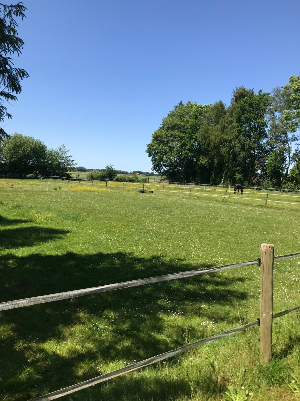 Stalling en weidegang, Dieren en Toebehoren, Stalling en Weidegang, Weidegang, 4 paarden of pony's of meer
