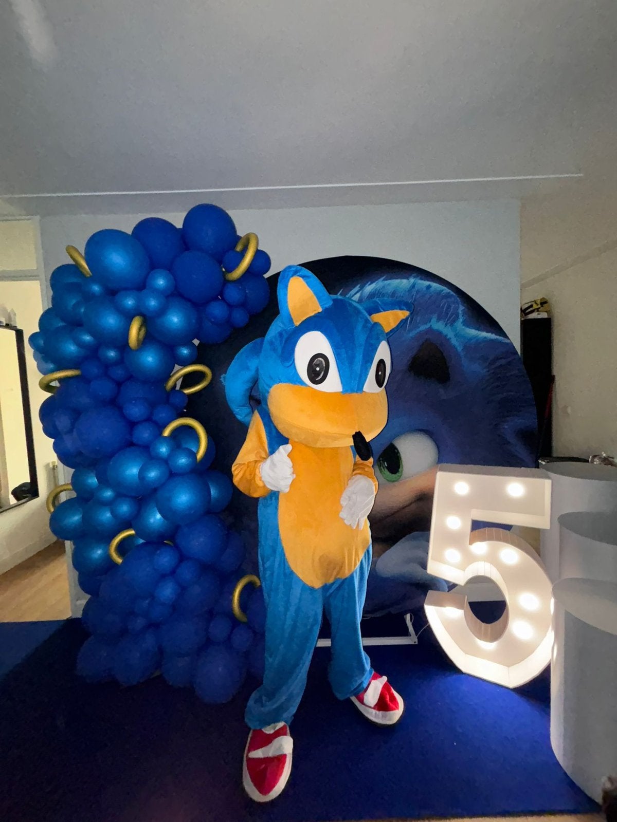 Sonic mascotte inclusief acteur jouw verjaardagsfeestje!, Ophalen, Zo goed als nieuw, Verjaardag