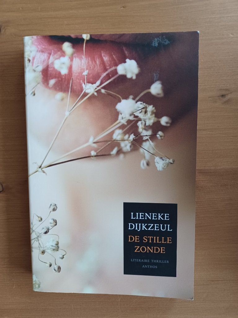 De stille zonde, Gelezen, Lieneke Dijkzeul, Ophalen of Verzenden, Nederland