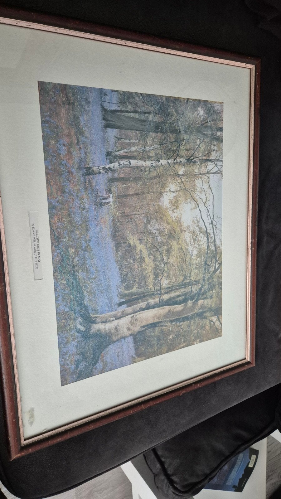 'Beechwoods in May' van Edward Wilkins Waite, Ophalen of Verzenden, Landschap, Klassiek, Print