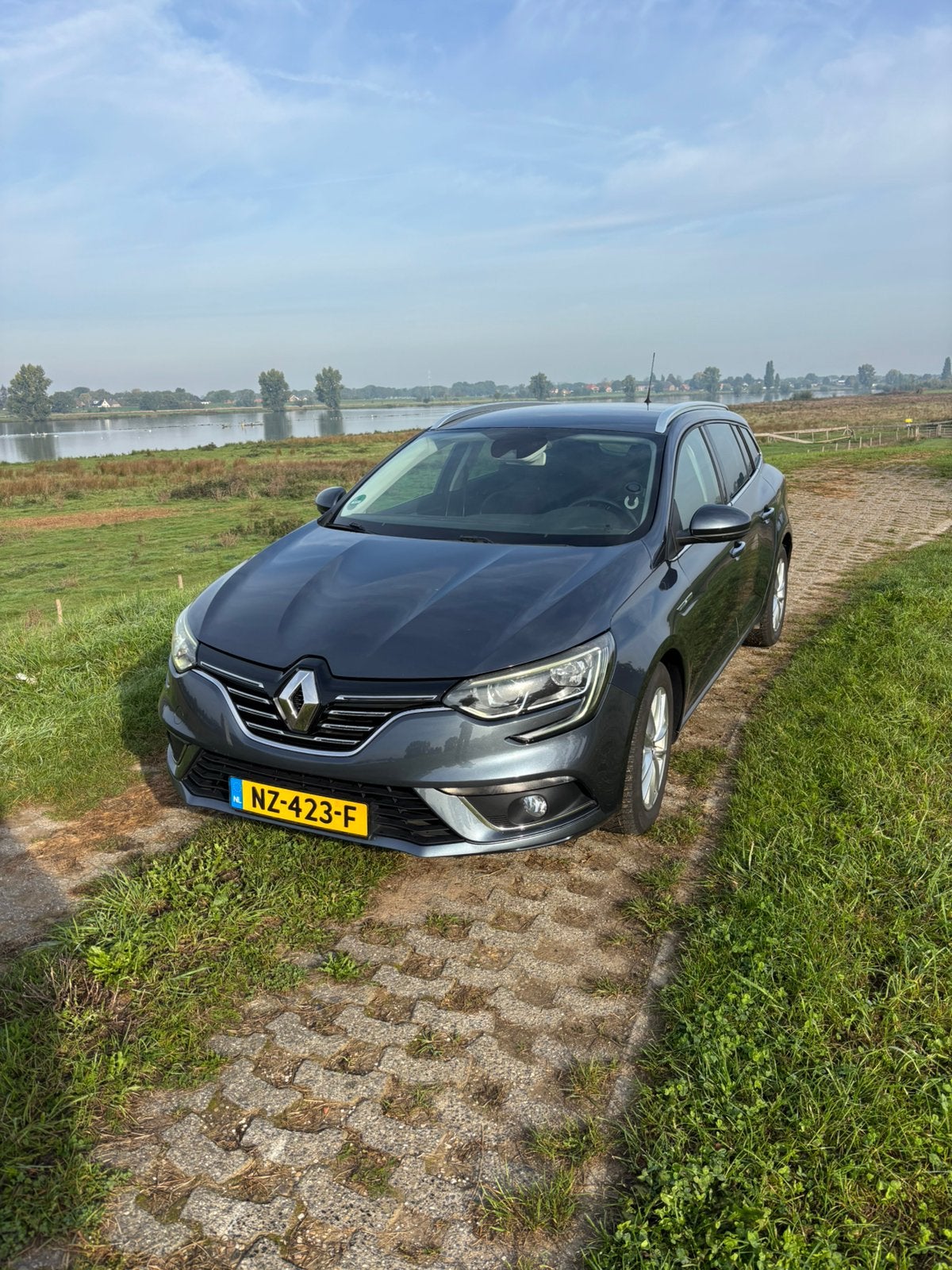 Renault Mégane 1.2 Energy TCe 100pk 2016 Grijs