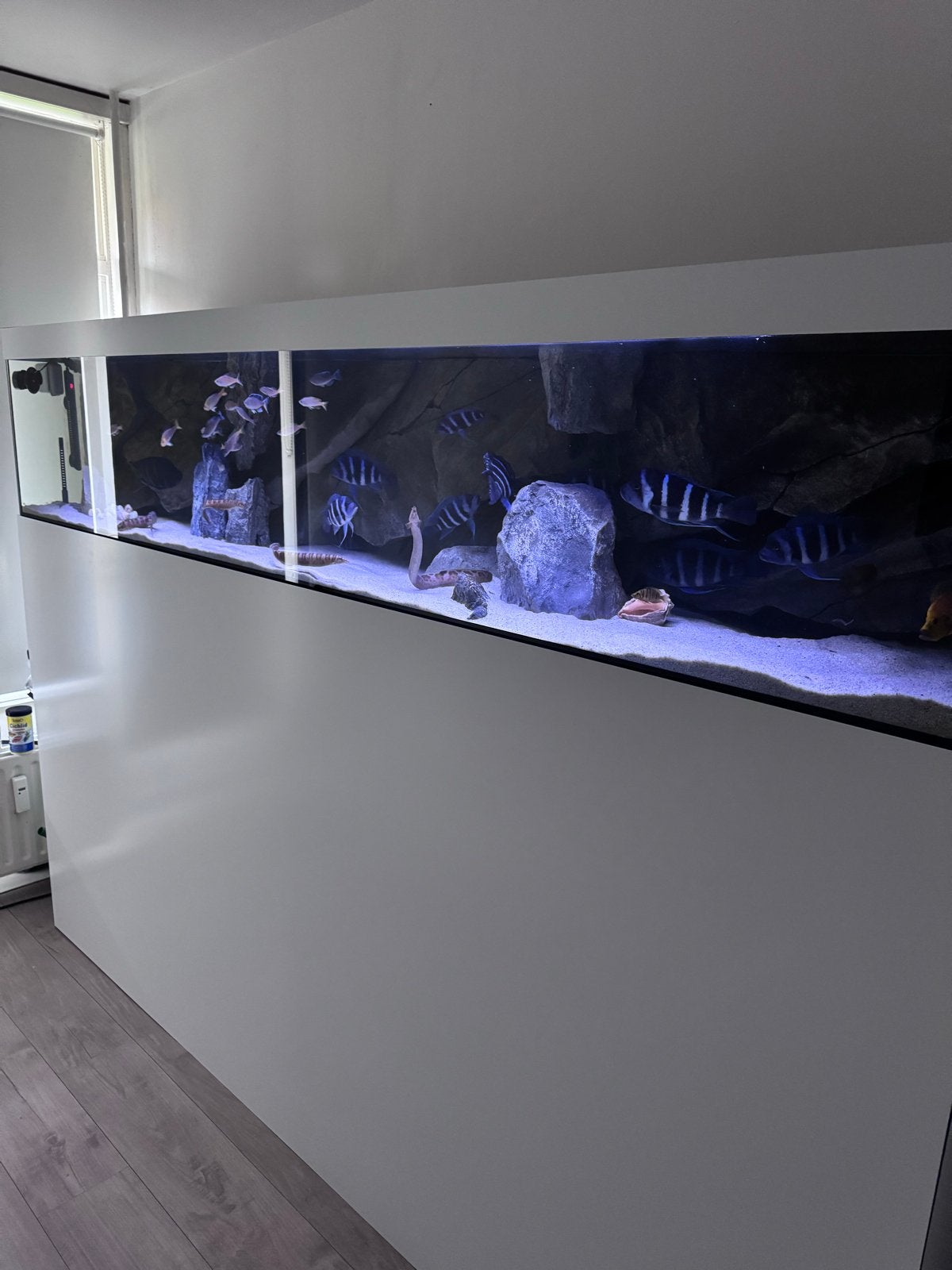 Zo goed als nieuw aquarium 250 cm, Ophalen, Zo goed als nieuw, Leeg aquarium