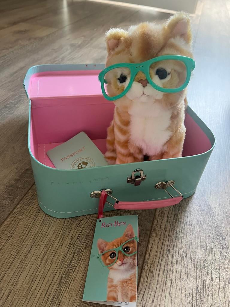 Studio Pets - RayBen Knuffelkat Rode Kater 16cm, Ophalen of Verzenden, Gebruikt