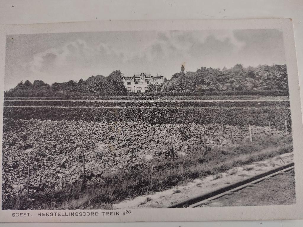 Soest trein 8.28, Ophalen of Verzenden, 1940 tot 1960, Gelopen, Utrecht