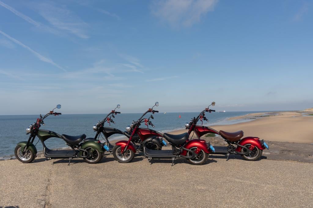 2021 MANGOSTEEN elektrische chopper - 25km/h, Elektrisch, Nieuw, Ophalen, Overige merken