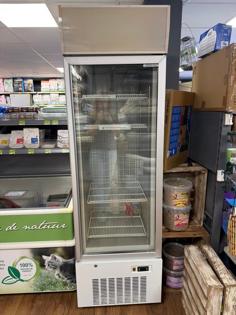 Gastro-cool staande glasdeur vrieskast (display vriezer), Witgoed en Apparatuur, Vriezers en Diepvrieskisten, Gastro-cool, Gastro-cool
