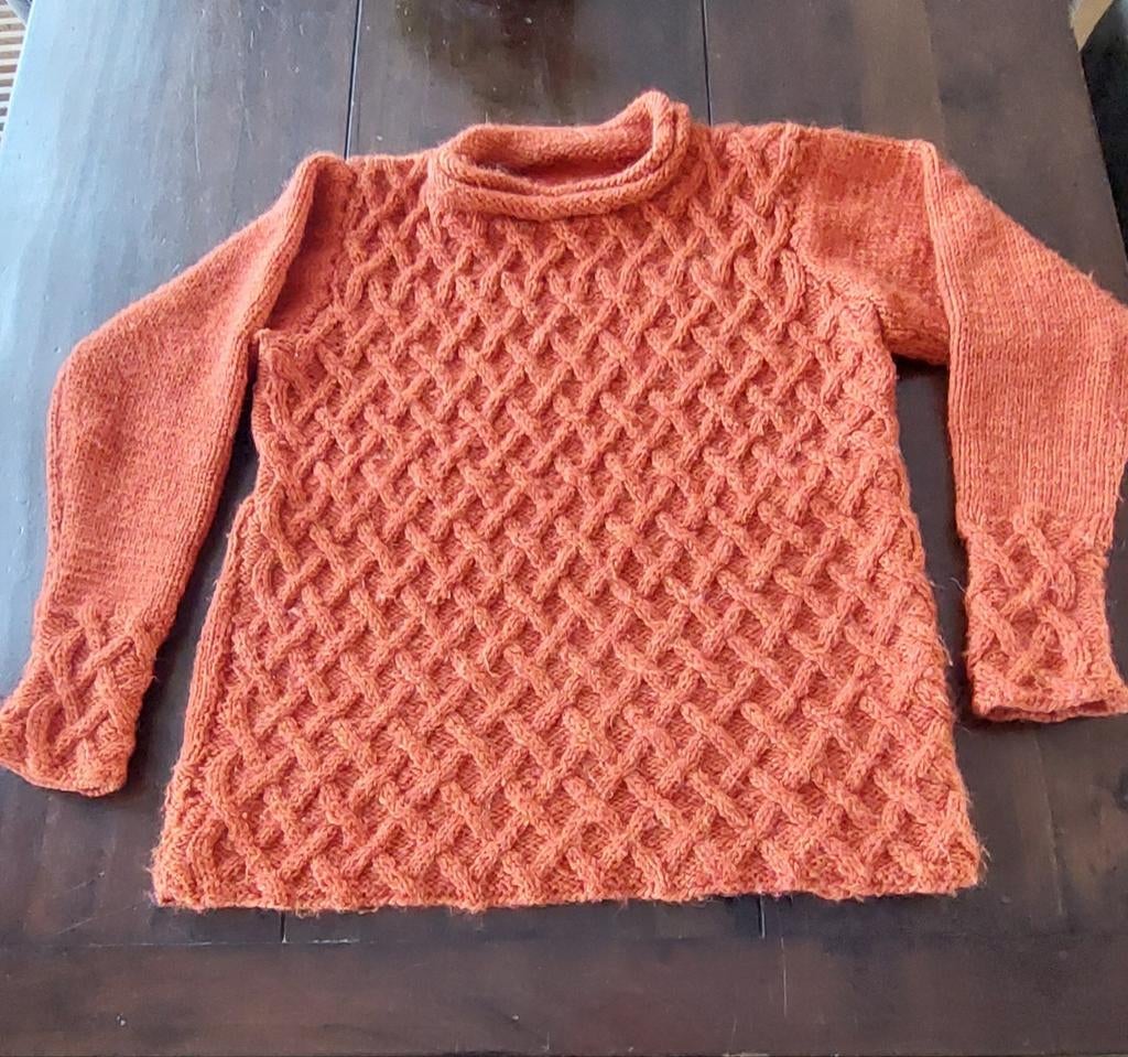 100%wollen trui, Ophalen of Verzenden, Zo goed als nieuw, Oranje