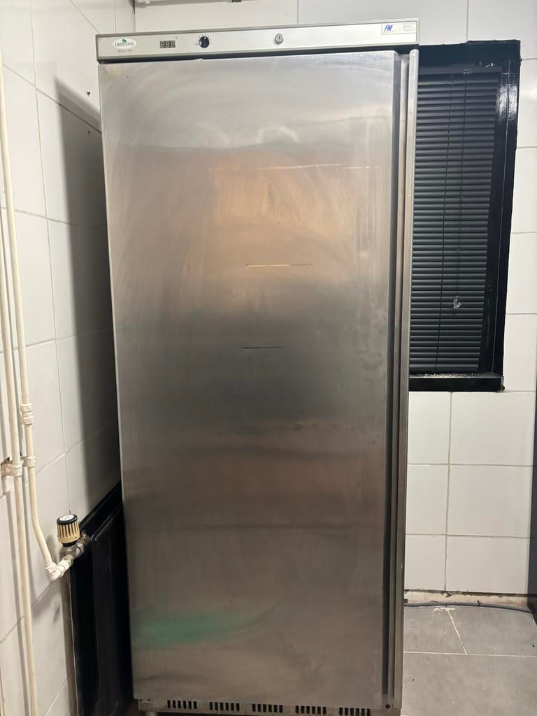 Professionele Horeca Diepvrieskast, Ophalen, Gebruikt, Koelen en Vriezen