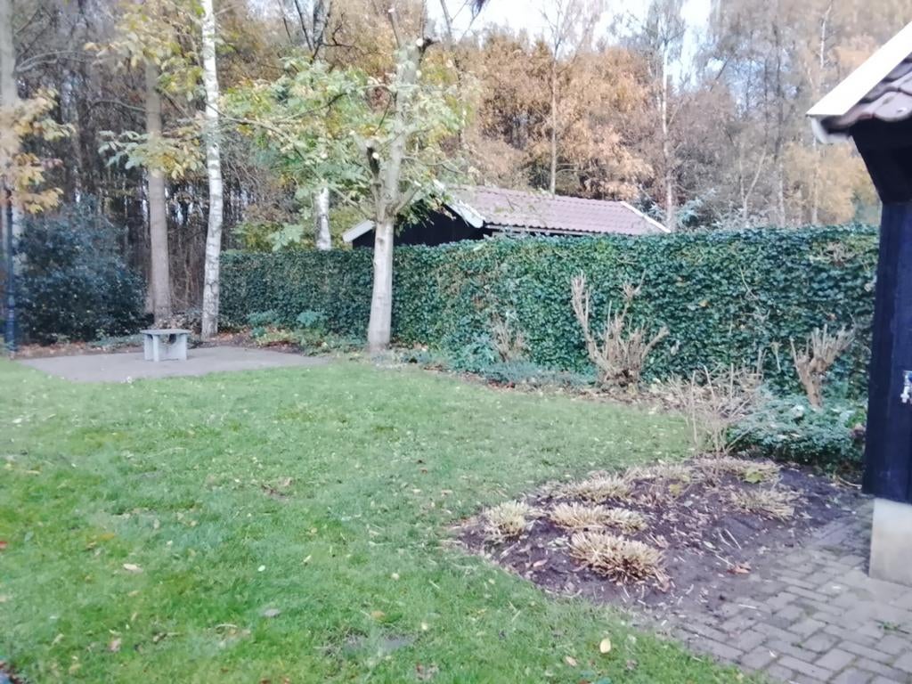 Hovenier en onderhoudt en aanleg ,, Diensten en Vakmensen, Tuinmannen en Stratenmakers, Bestrating