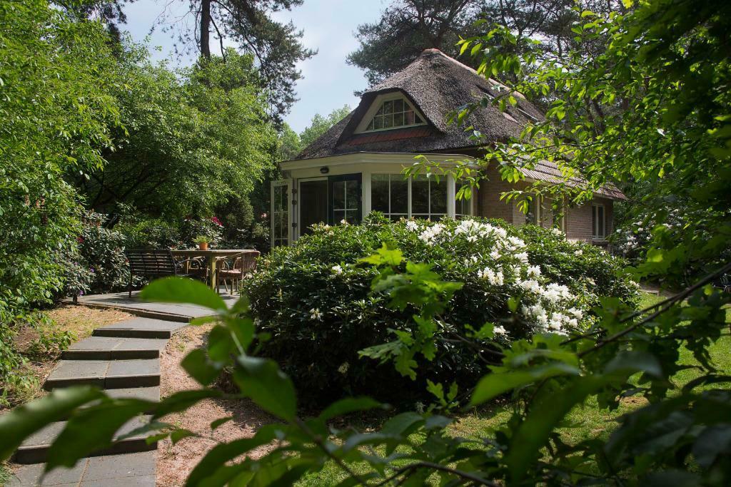Te Huur: Vakantiehuis Ommen / Beerze, In bos, Wasmachine, Overijssel, Landelijk