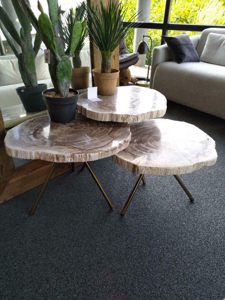 Bijzettafels salontafel versteend hout, Ophalen of Verzenden, Nieuw, Hout