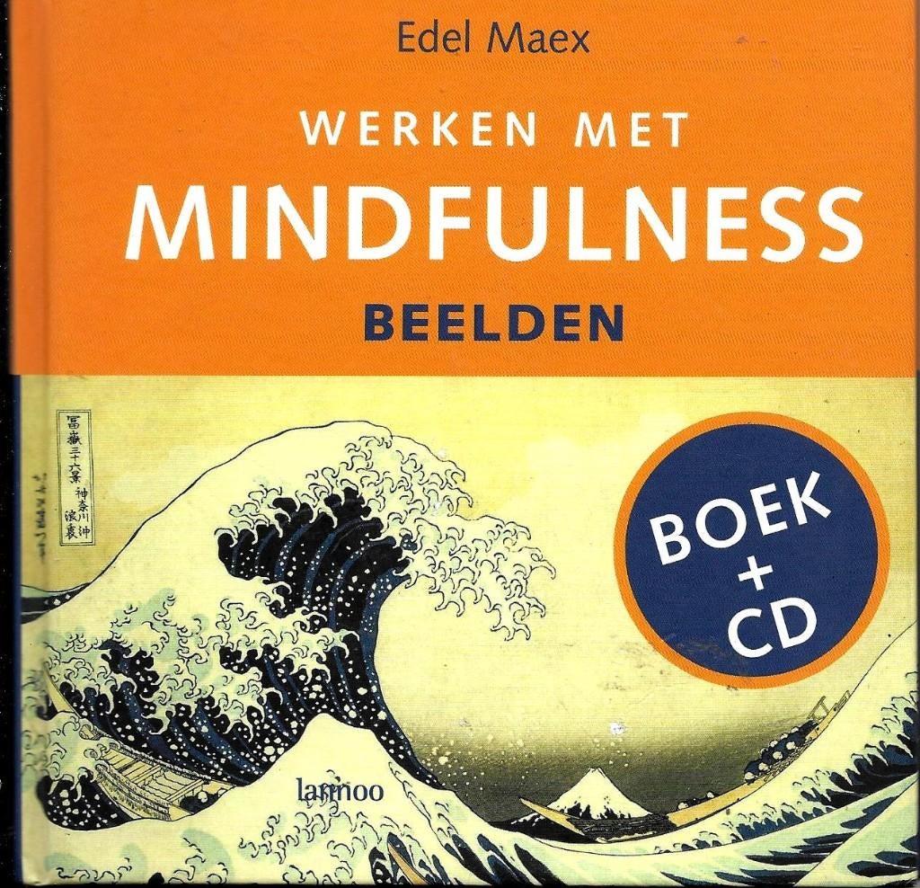 Werken met Mindfulness - Edel Maex, Achtergrond en Informatie, Zo goed als nieuw, Overige onderwerpen, Edel Maex