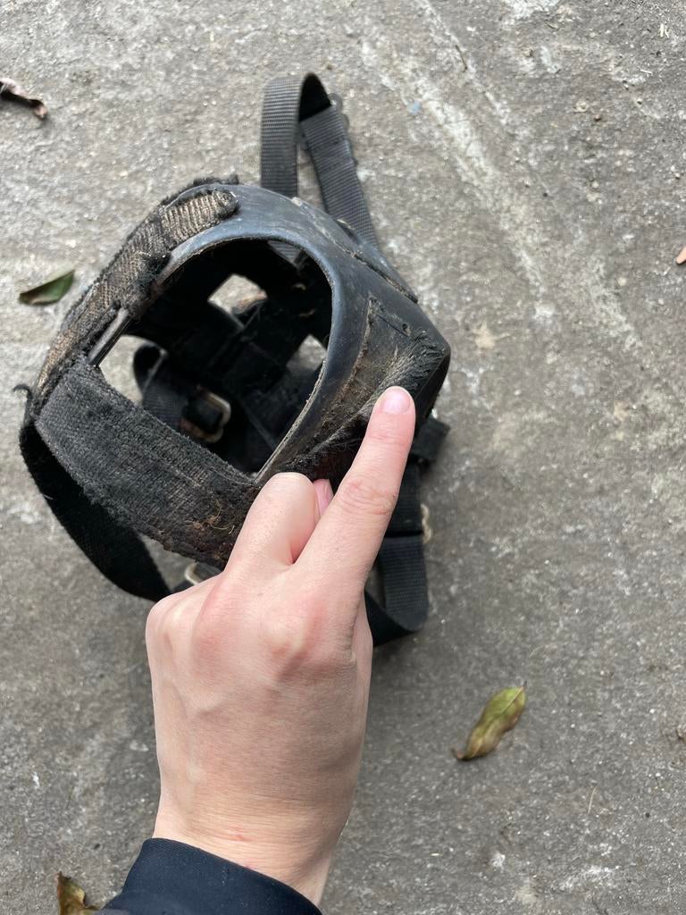 Graasmasker maat pony, Dieren en Toebehoren, Ophalen of Verzenden, Gebruikt, Overige soorten