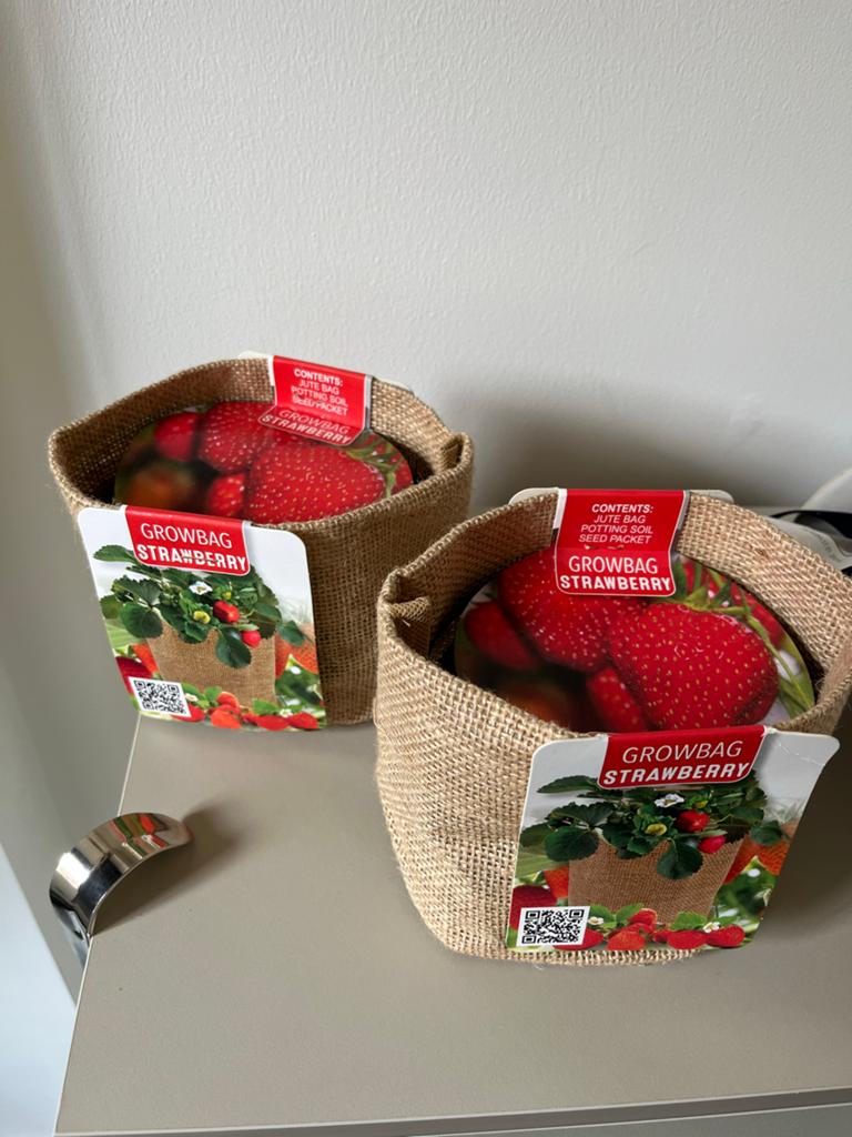 Aardbeien Growbag - Kweek je eigen verse aardbeien!, Ophalen of Verzenden, Voorjaar, Volle zon, Zaad