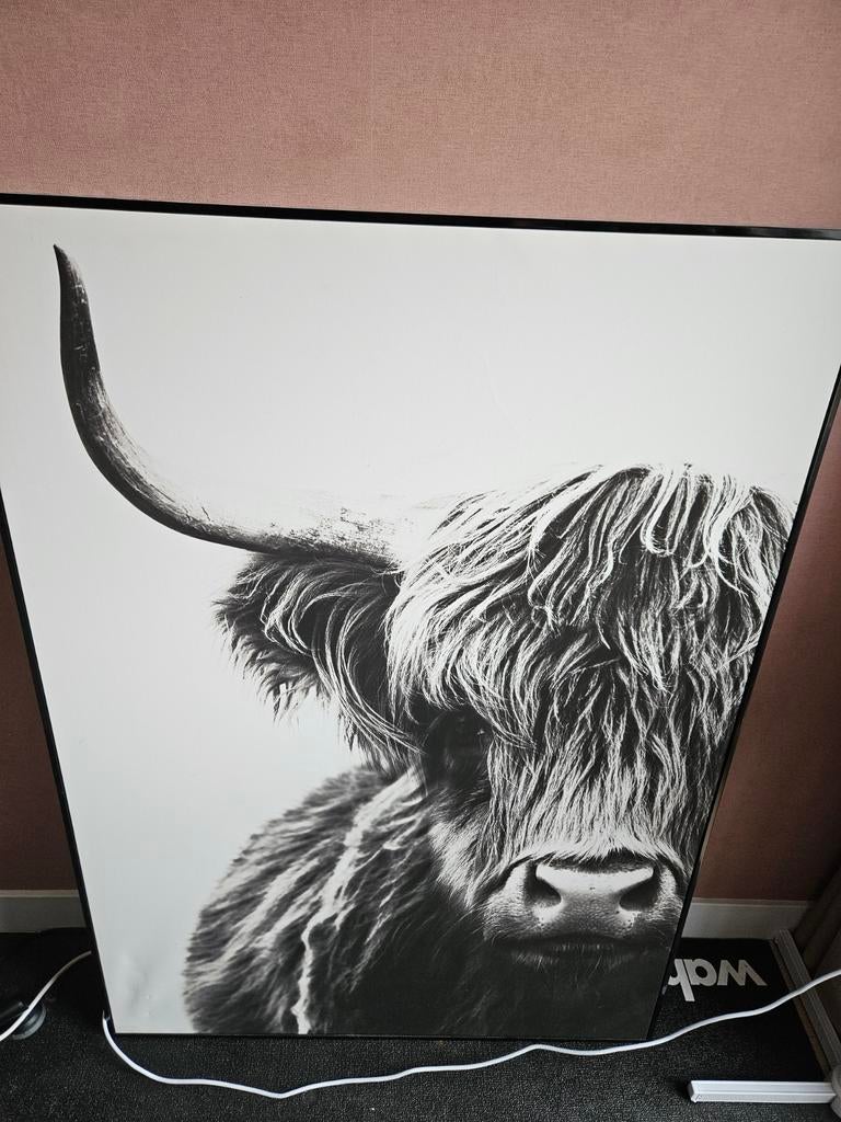 Prachtig canvas met Yak/Schotse hooglander, Ophalen