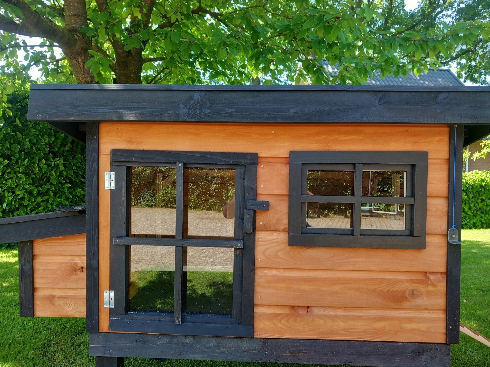Nieuw afsluitbaar kippenhok met legnest, Dieren en Toebehoren, Ophalen, Nieuw, Kippenhok of Kippenren