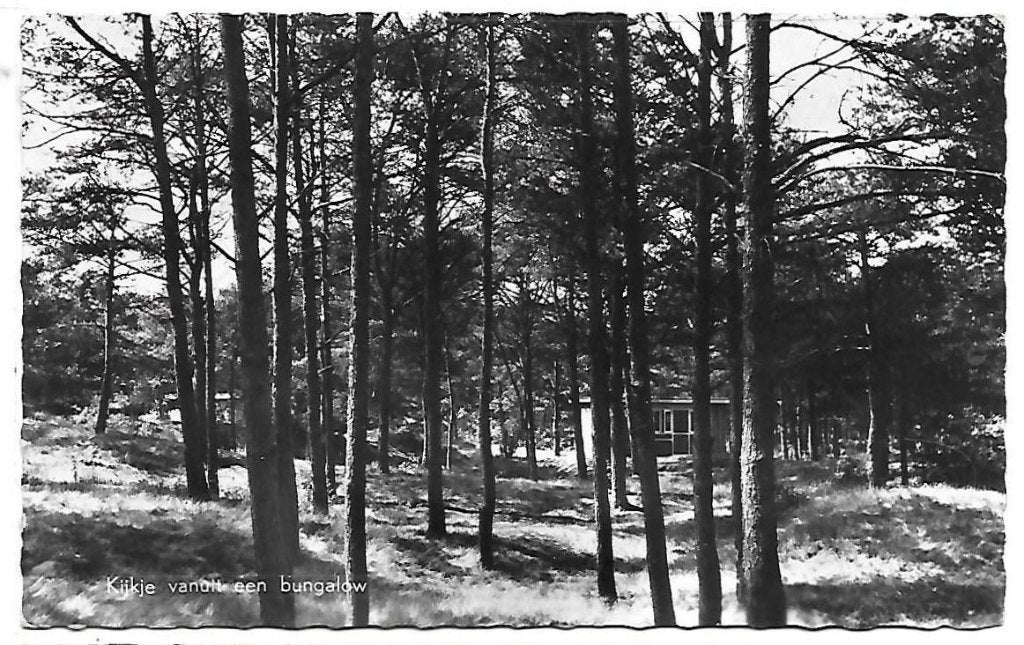 Vlierden Vakantieoord De Bikkels Oude Ansichtkaart ( B870 ), Ophalen of Verzenden, 1940 tot 1960, Gelopen