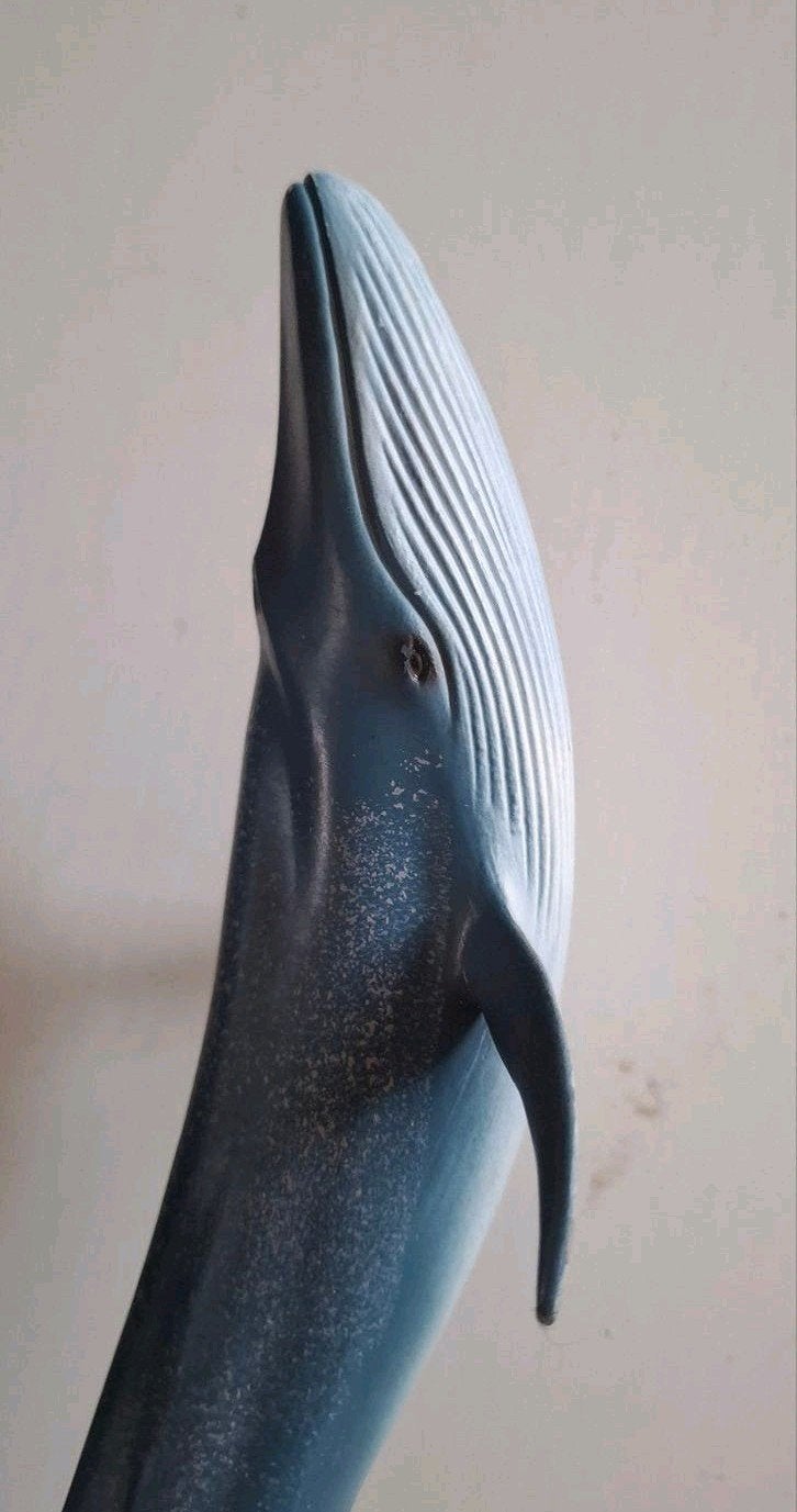Schleich Blauwe Vinvis - Gedetailleerd Speelfiguur, Verzamelen, Ophalen of Verzenden, Gebruikt, Overige soorten, Beeldje of Figuurtje