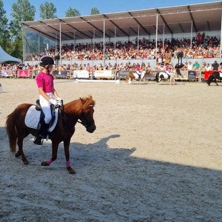 Lease pony/paard gezocht, bijrijdster aangeboden, Dieren en Toebehoren, Ophalen, Nieuw