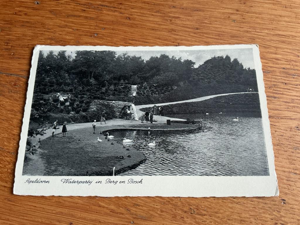 O109 Apeldoorn zwaan, Ophalen of Verzenden, Gelderland