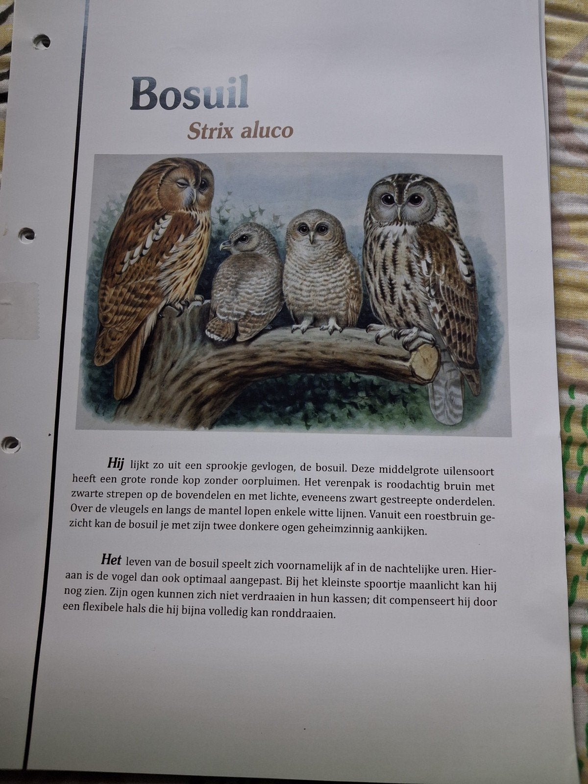 Diverse Vogels bladen voor vogel album  in Nederland, Ophalen of Verzenden, Na 1940, Postfris