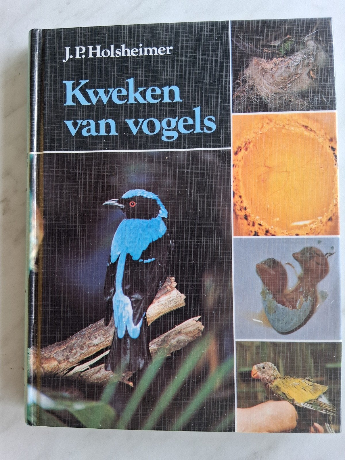 Kweken van vogels door J.P. Holsheimer, Gelezen, Holsheimer, Ophalen of Verzenden, Vogels