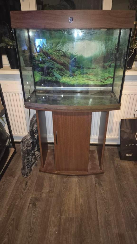Aquarium panorama, Dieren en Toebehoren, Vissen | Aquaria en Toebehoren, Ophalen, Gebruikt, Leeg aquarium