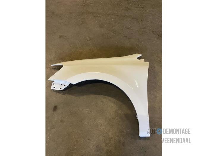 Scherm links-voor van een Volkswagen Polo (LB9A), -, Volkswagen, -, Nieuw