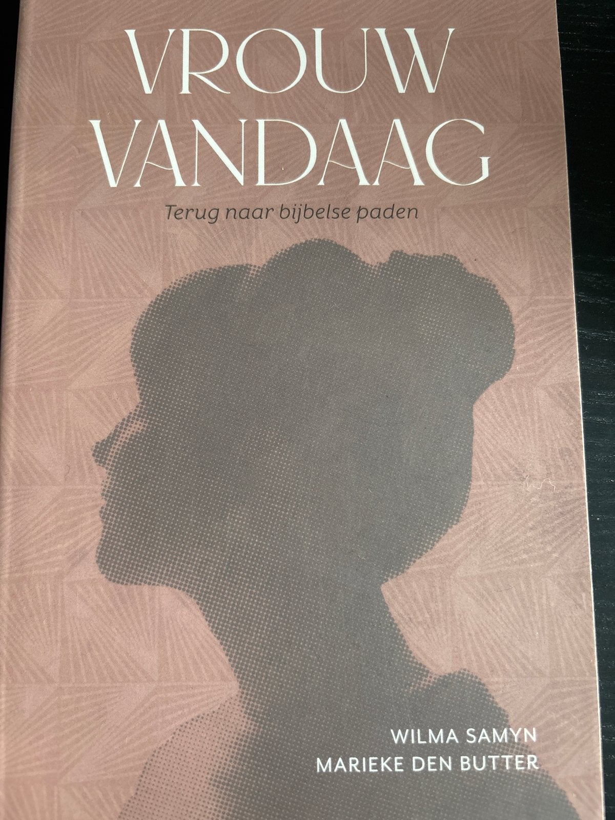 Vrouw Vandaag: Terug naar Bijbelse Paden - Wilma Samyn, Ophalen of Verzenden, Zo goed als nieuw, Christendom | Protestants