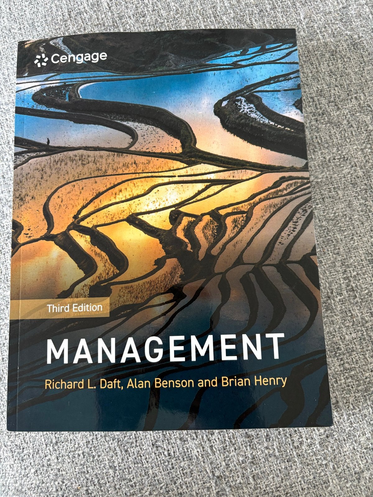 Nieuw Management boek - Richard L. Daft, Alan Benson, Brian, Boeken, Ophalen of Verzenden, Nieuw, Management