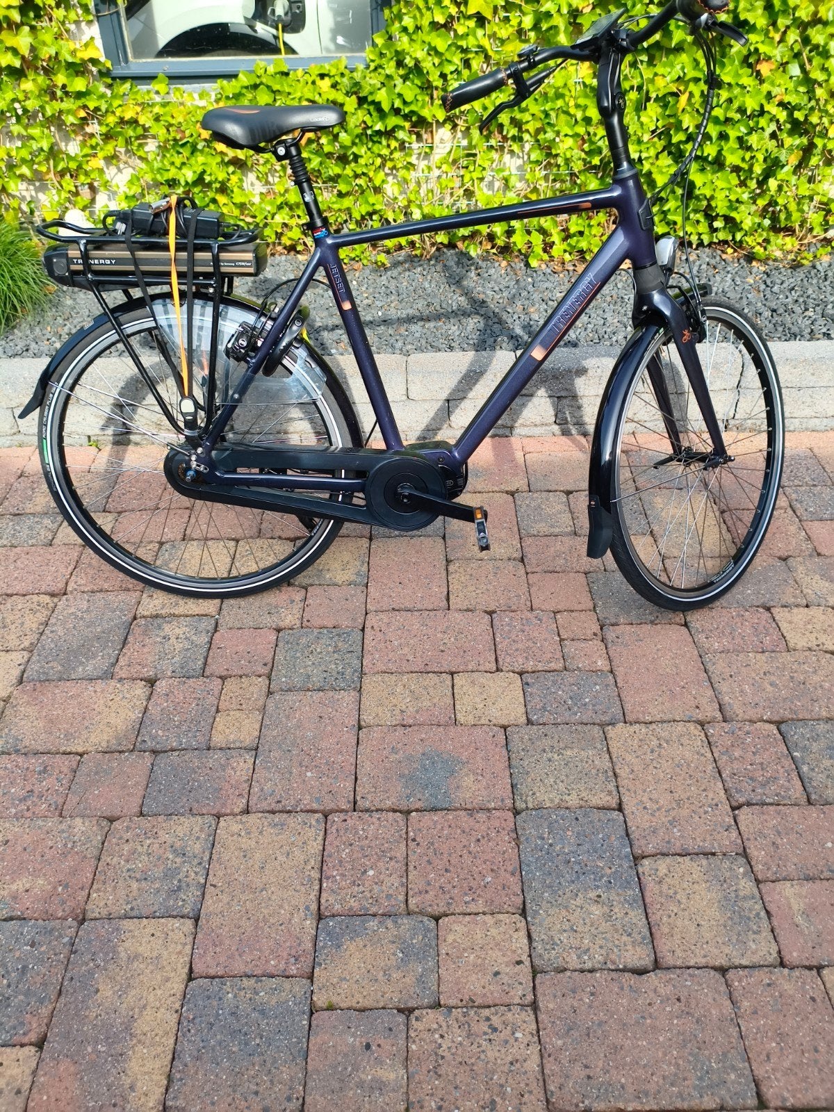 Zeer mooie elektrische fiets - Recent onderhoud gehad, Ophalen of Verzenden