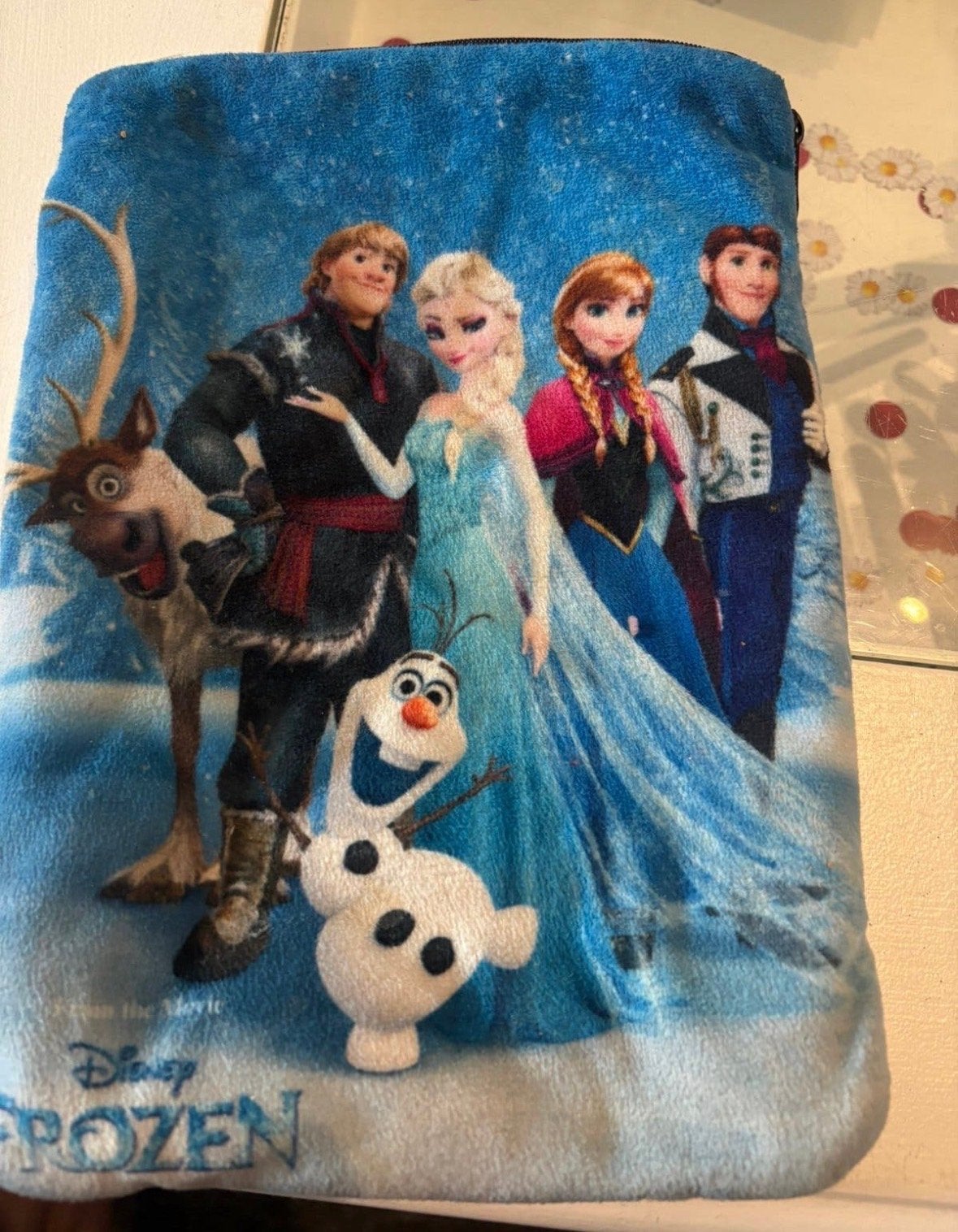 Disney Frozen etui/tasje met rits, Ophalen of Verzenden, Gebruikt, Overige typen