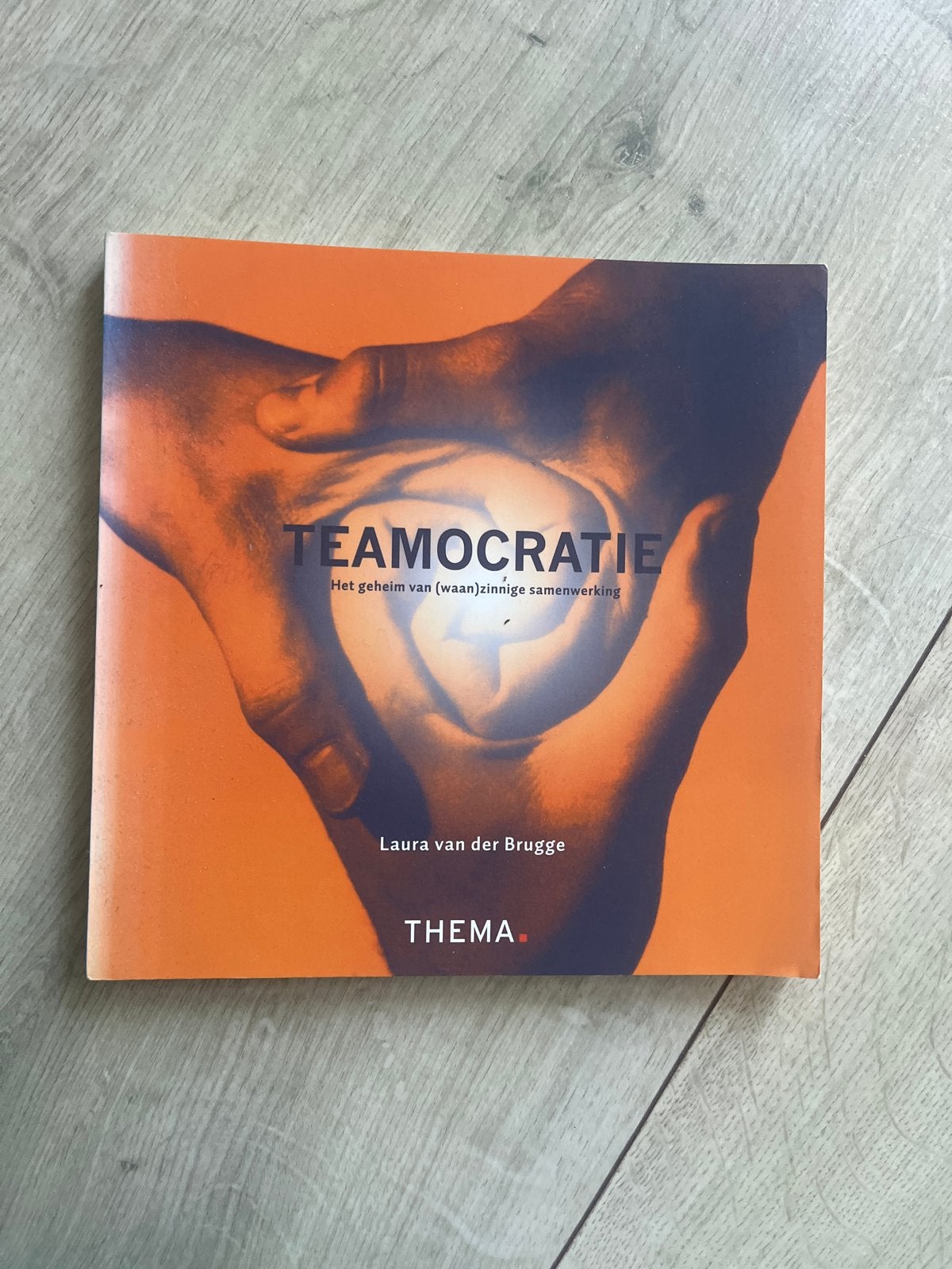 Teamocratie: Het geheim van (waan)zinnige samenwerking, Ophalen of Verzenden, Zo goed als nieuw, Management