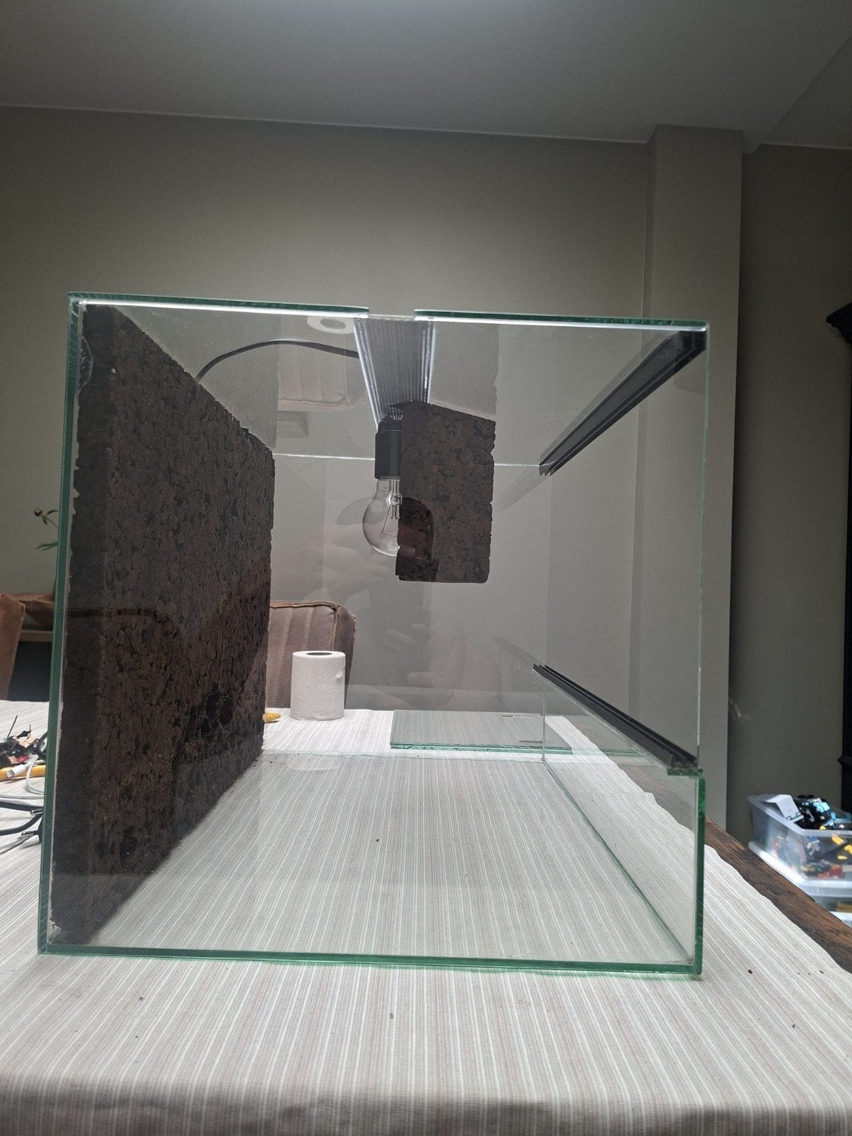 Terrarium van "Blue Lagoon" in de maat 50x35x35(LxBxH), Dieren en Toebehoren, Reptielen en Amfibieën | Toebehoren, Ophalen, Zo goed als nieuw