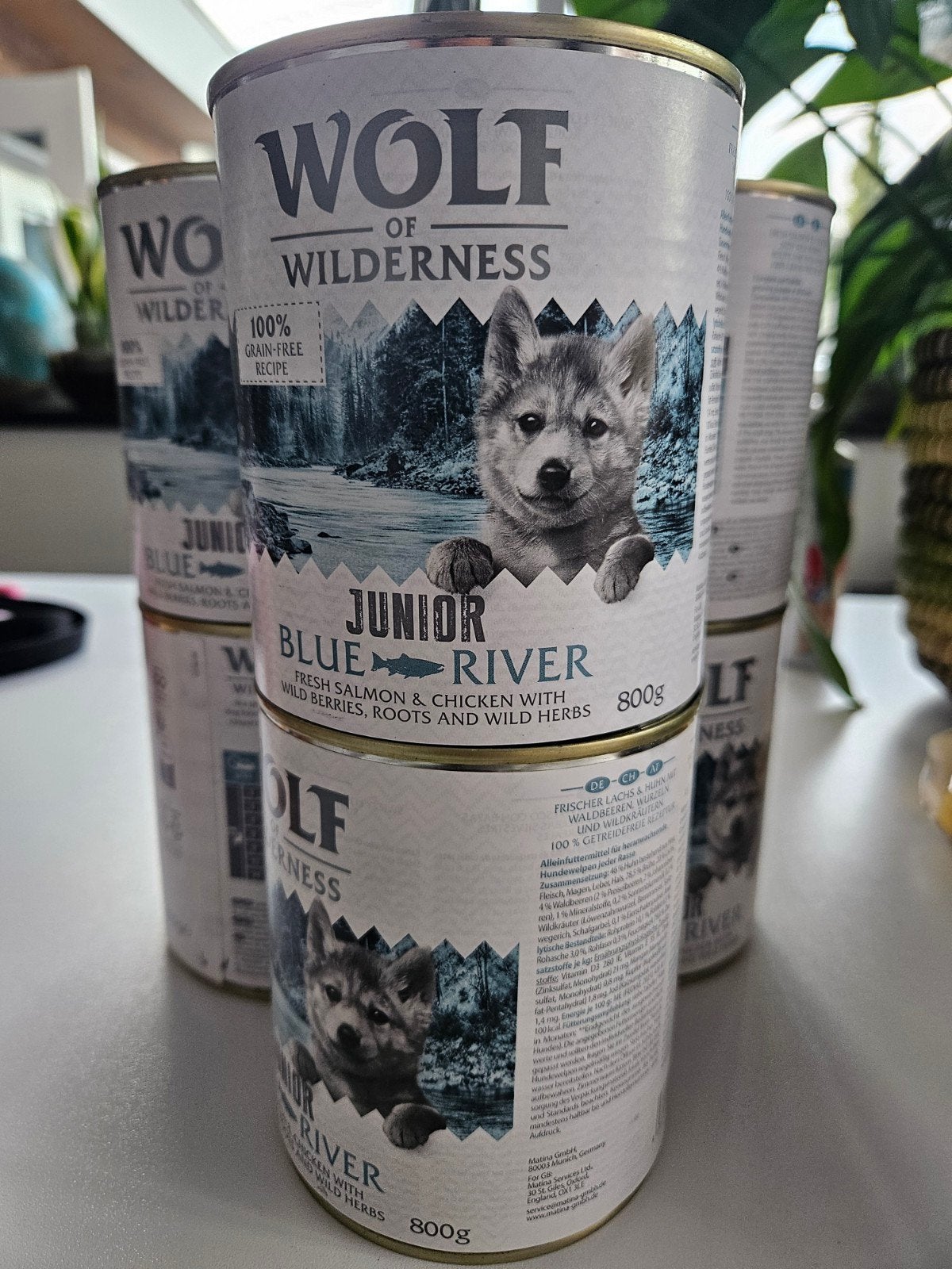 Wolf of wilderness natvoer hond, Dieren en Toebehoren, Ophalen of Verzenden, Hond