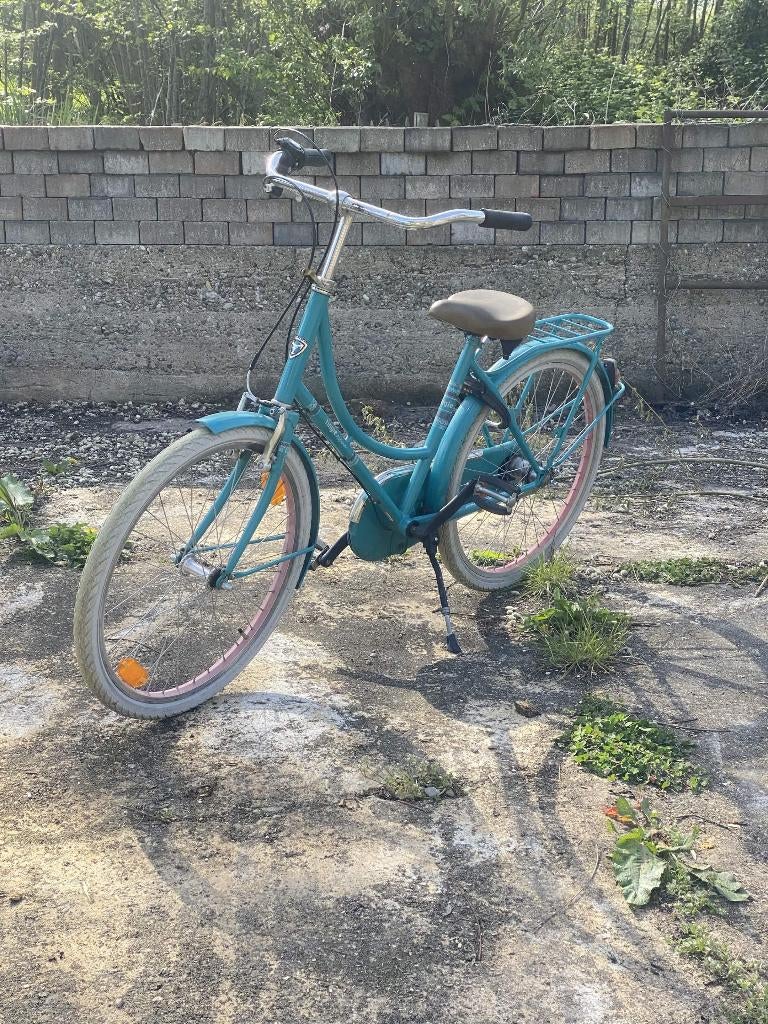 Alpina Kinderfiets, Ophalen, Terugtraprem, Alpina, 16 tot 20 inch