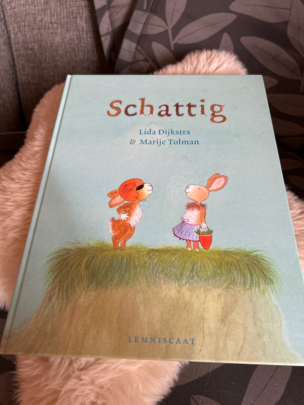 Schatting - Lida Dijkstra & Marije Tolman - Kinderboek, Fictie algemeen, Jongen of Meisje, Ophalen of Verzenden, Zo goed als nieuw