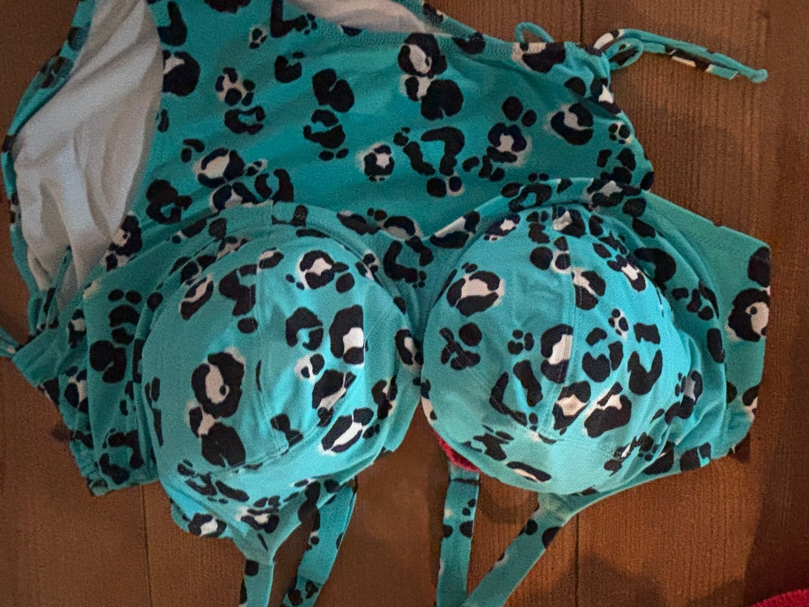 Elomi bikini maat 100G, 44, Verzenden, Zo goed als nieuw, Bikini