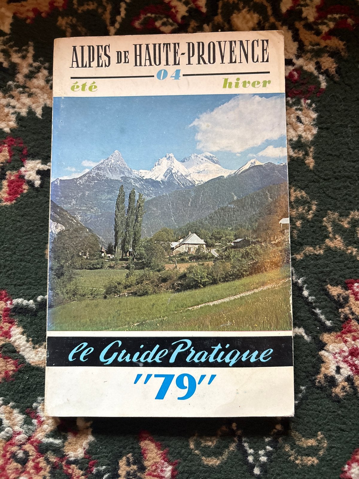 Alpen van de Haute-Provence - Le Guide Pratique '79, Boeken, Europa, Ophalen of Verzenden, Reisgids of -boek, Gelezen