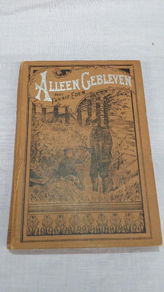 Boek 1900. Alleen gebleven of de weezen van de dennenhut., Antiek en Kunst, Antiek | Boeken en Bijbels, Ophalen of Verzenden