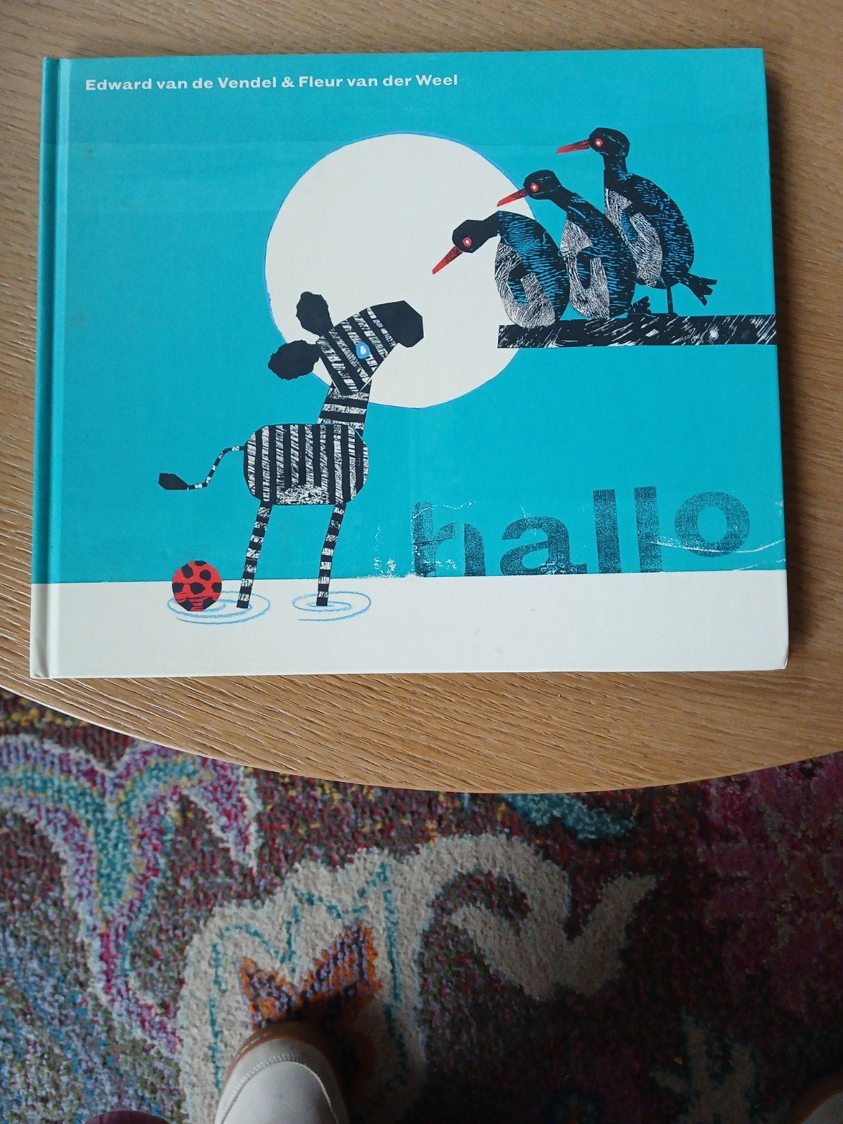 Hallo - Edward van de Vendel & Fleur van der Weel, Boeken, Fictie algemeen, Edward van de Vendel & Fleur van der Weel, Jongen of Meisje