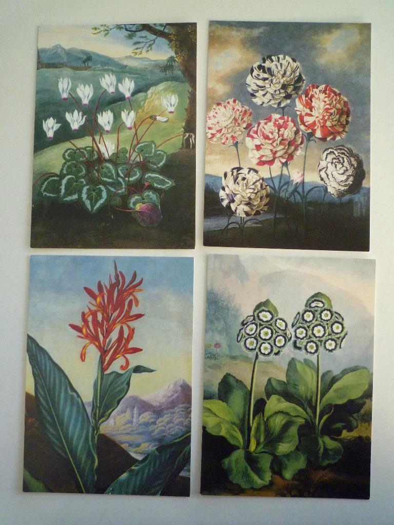 4 kunstkaarten met bloemen oa cyclaam, Verzamelen, Ophalen of Verzenden, 1980 tot heden, Overige thema's