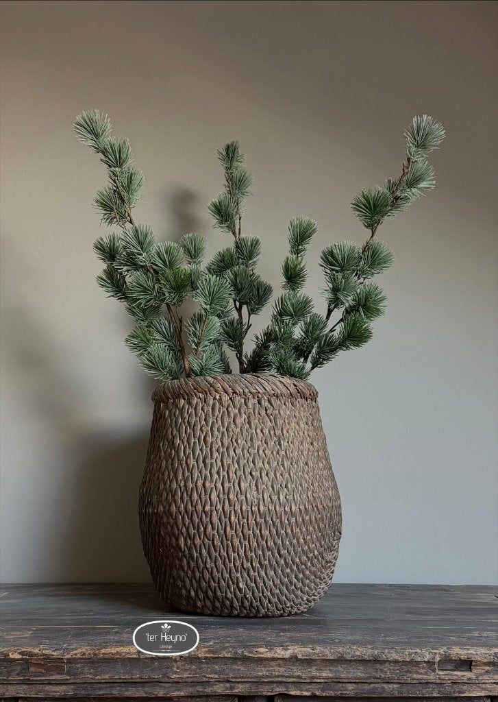 Kerst tak ceder kunst cedrus kersttak stoer sober landelijk, Groen, Verzenden, Countryfield, Handgemaakt